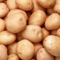Насіннєва картопля елітних сортів