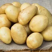 Картофель семенной (Таисия, Мелоди)